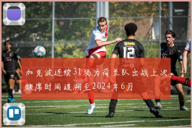 加克波连续31场为荷兰队出战上次缺席时间追溯至2024年6月