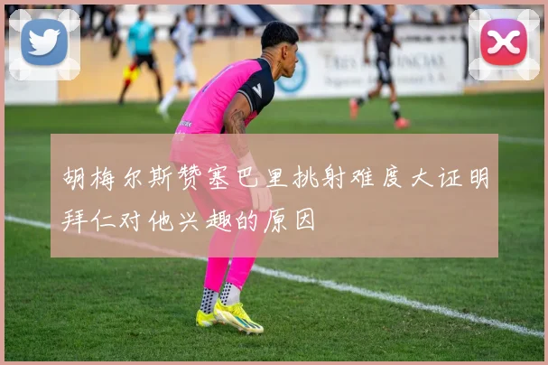 胡梅尔斯赞塞巴里挑射难度大证明拜仁对他兴趣的原因